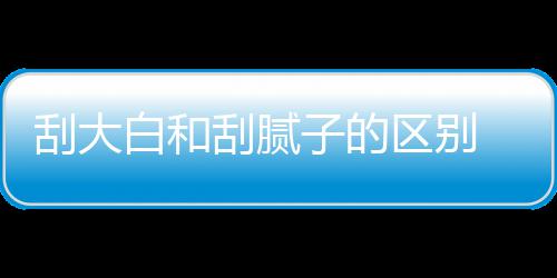 白和呢平米大白多少区别钱一子的刮大刮腻 刮