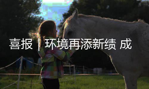 环添新喜报项目云南 亿中标境再绩 成功楚雄城市服务