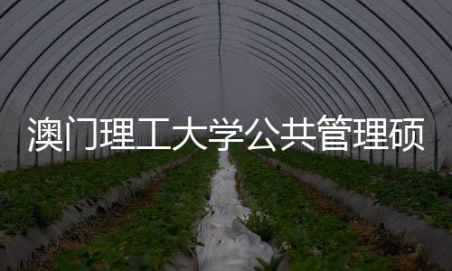 大学面试理工问题澳门公共管理0个常见硕士